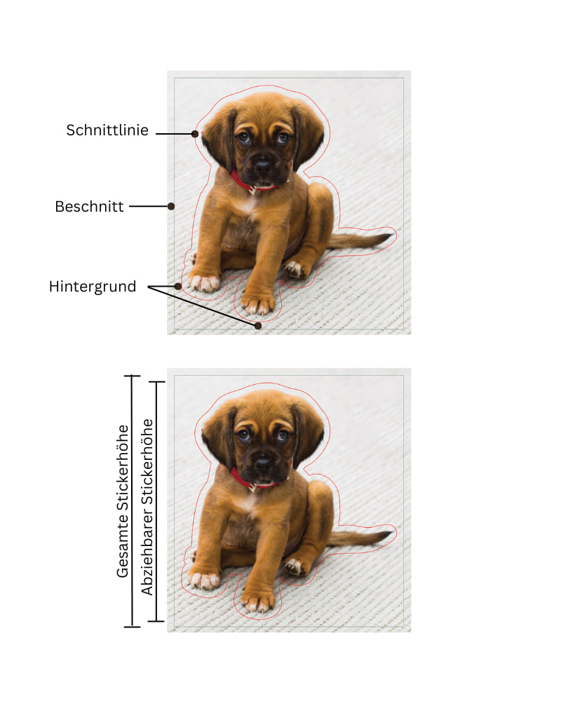 Bild eines Welpen mit Stickerrückseite, Schnittlinie und Beschnitt. Das Bild des Welpen zeigt die Höhe des abziehbaren Stickers im Vergleich zur Gesamthöhe des Stickers
