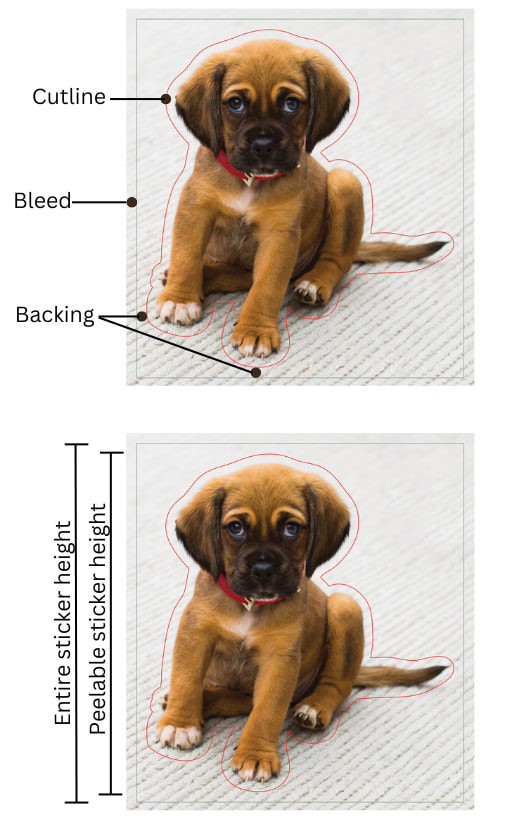 imagen de un cachorro que muestra el reverso de la pegatina, la línea de corte y el sangrado. Imagen del cachorro que muestra la altura de la pegatina despegable frente a la altura total de la pegatina.