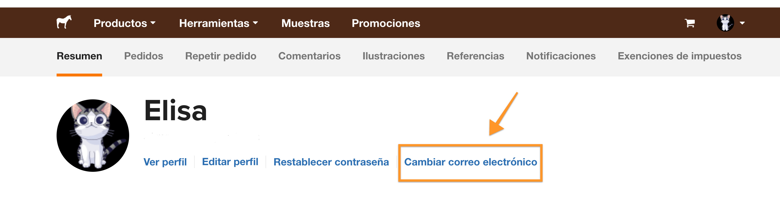 captura de pantalla de donde podés cambiar tu correo electrónico