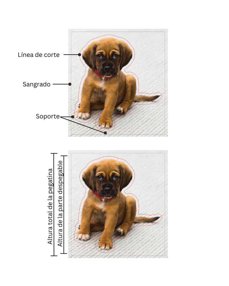 imagen de un cachorro que muestra el reverso de la pegatina, la línea de corte y el sangrado. Imagen del cachorro que muestra la altura de la pegatina despegable frente a la altura total de la pegatina.