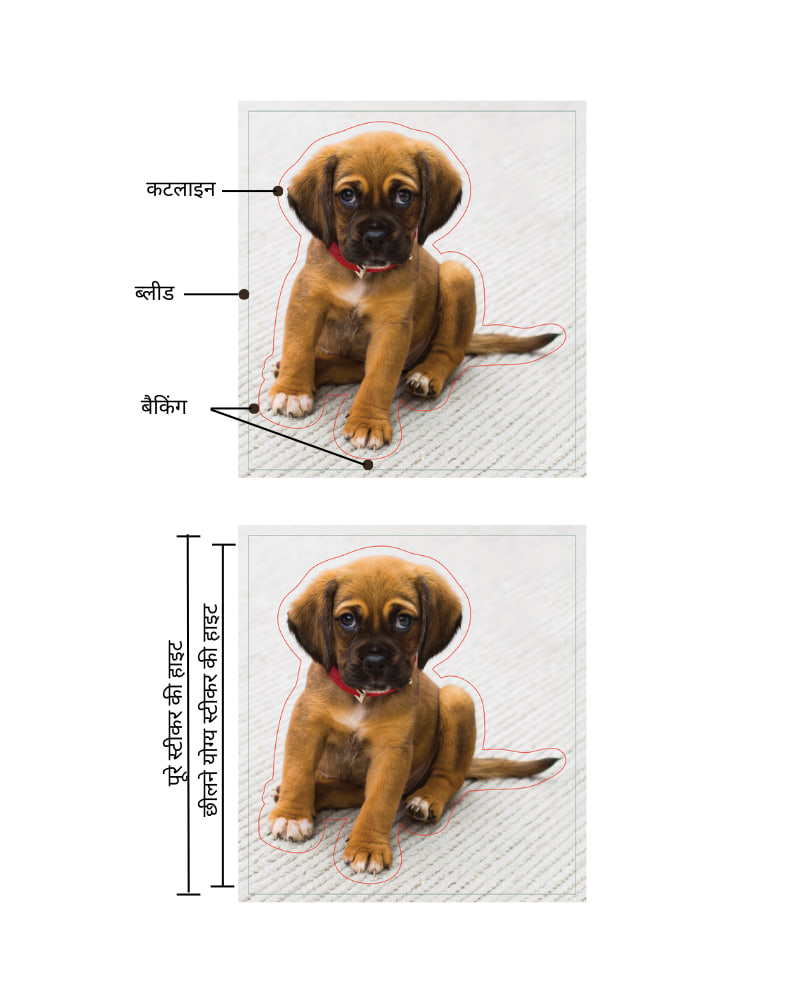 पपी की तस्वीर जिसमें स्टीकर बैकिंग, कटलाइन और ब्लीड दिख रहा है। स्टीकर की पूरी ऊंचाई की तुलना में छीलने योग्य स्टीकर की ऊंचाई दिखाने वाले पपी की तस्वीर।