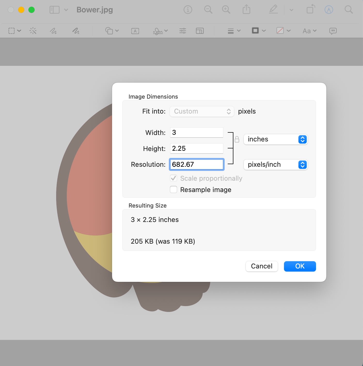 macコンピューターでアートワークのppiを見つける方法のスクリーンショット