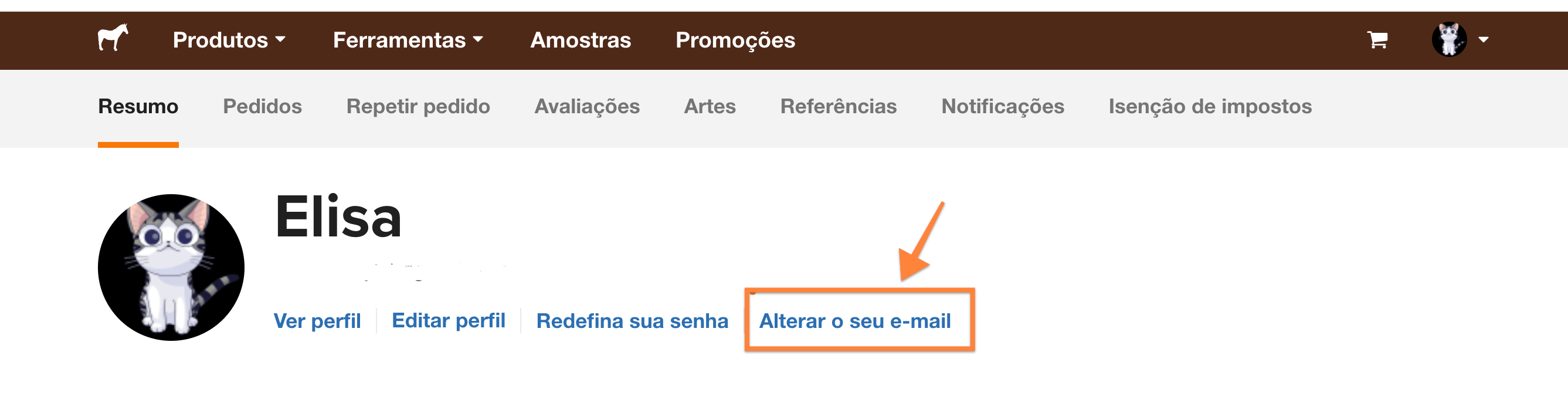 imagem mostrando onde alterar o e-mail