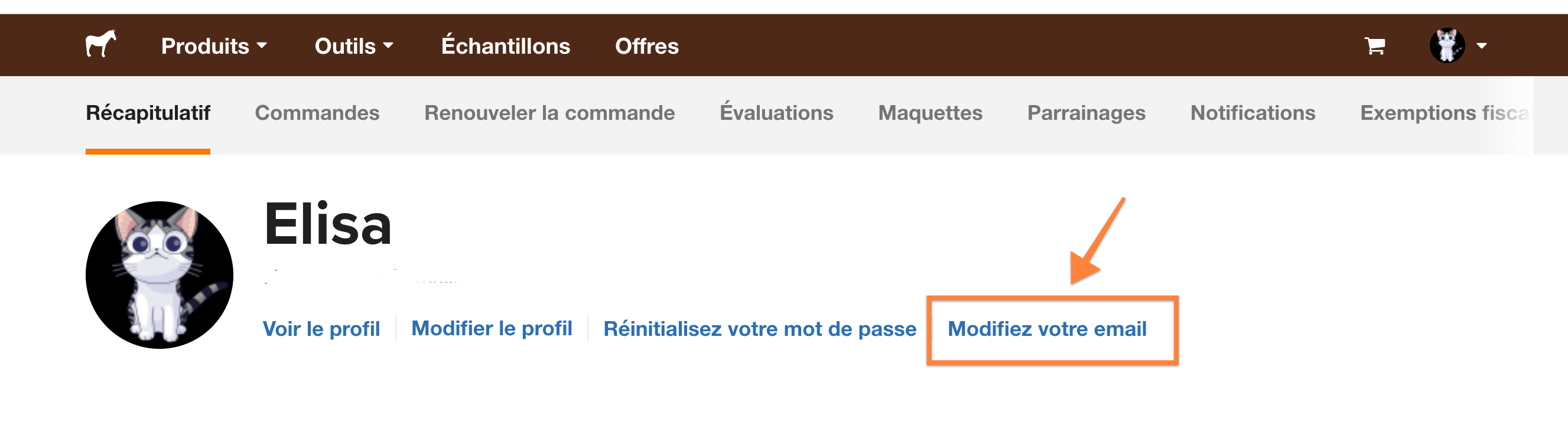 capture d'écran de l'endroit où vous pouvez modifier votre adresse e-mail