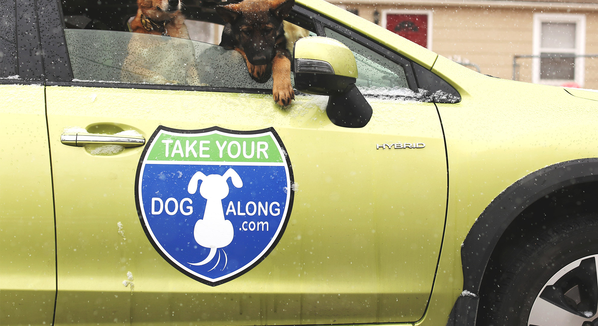 ライム色の車に貼った、犬が描かれた車のドア用オリジナルマグネットシート