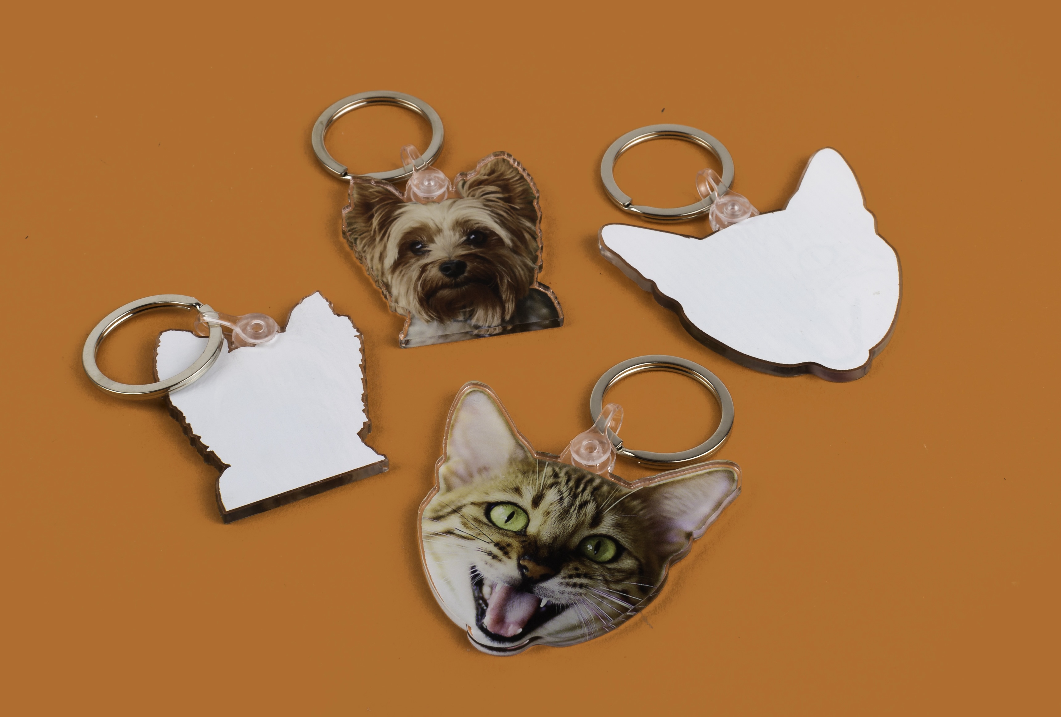 portachiavi con cani e gatti con la foto di un cane e di un gatto davanti e uno sfondo bianco sul retro