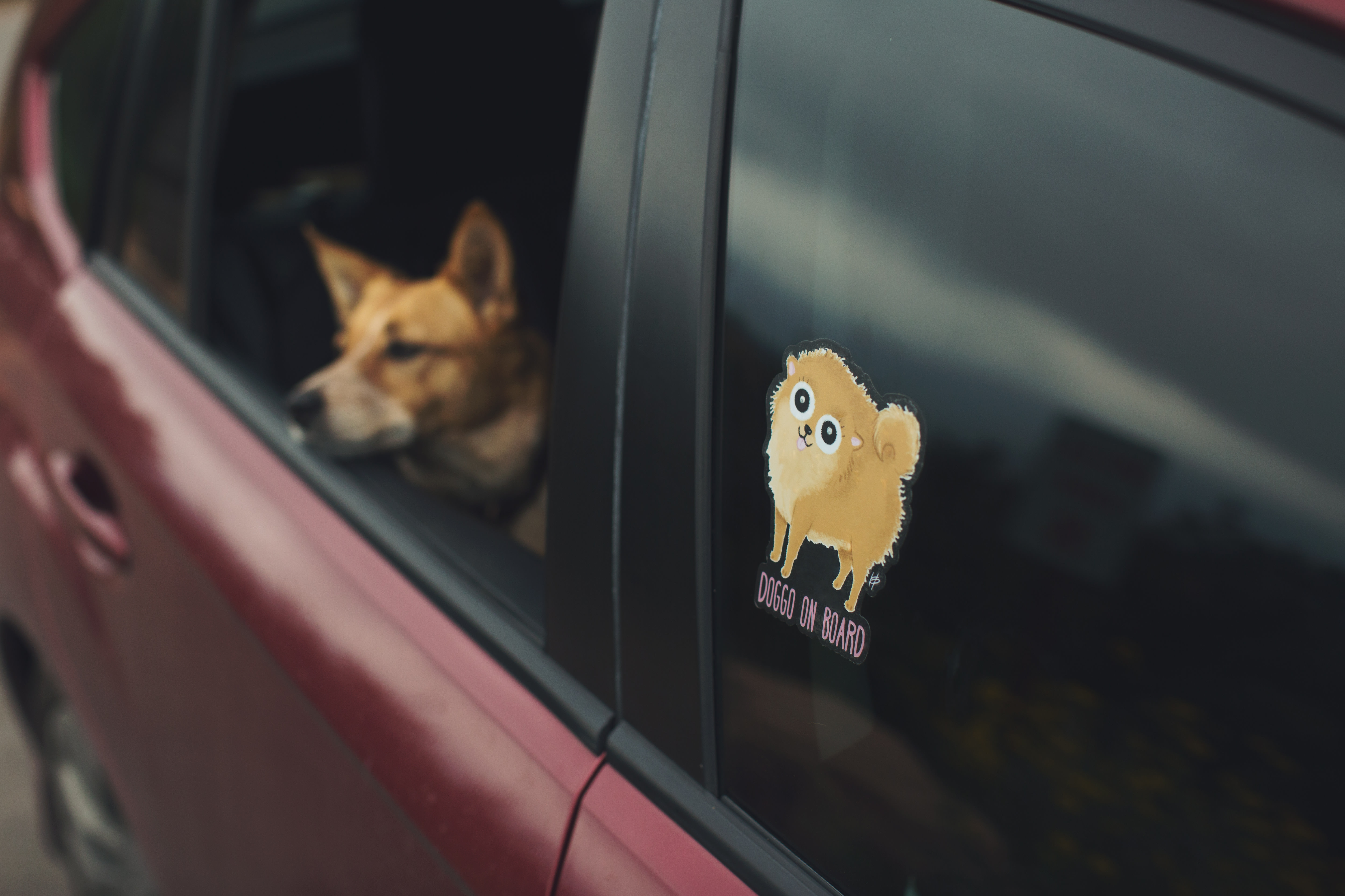 custom car sticker doggo on board