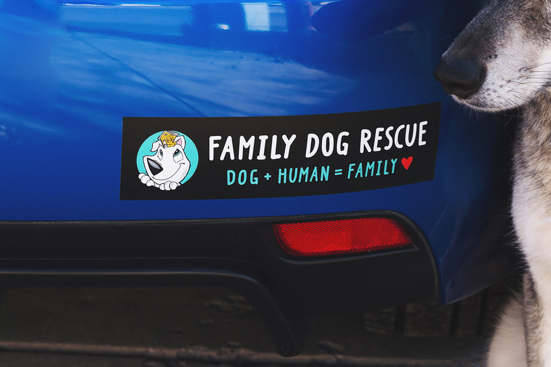 custom bumper stickers types