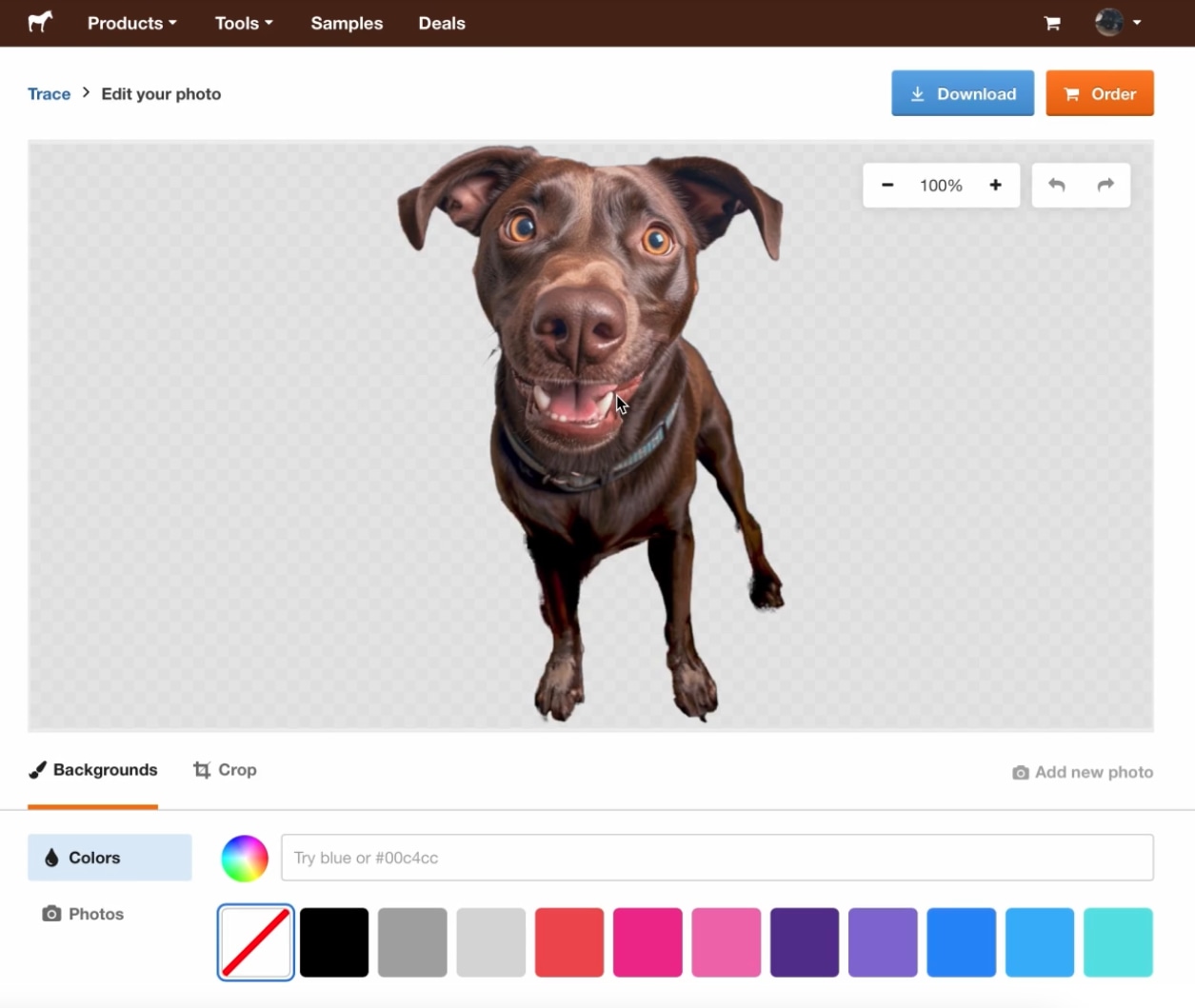 trace removed background from dog photo