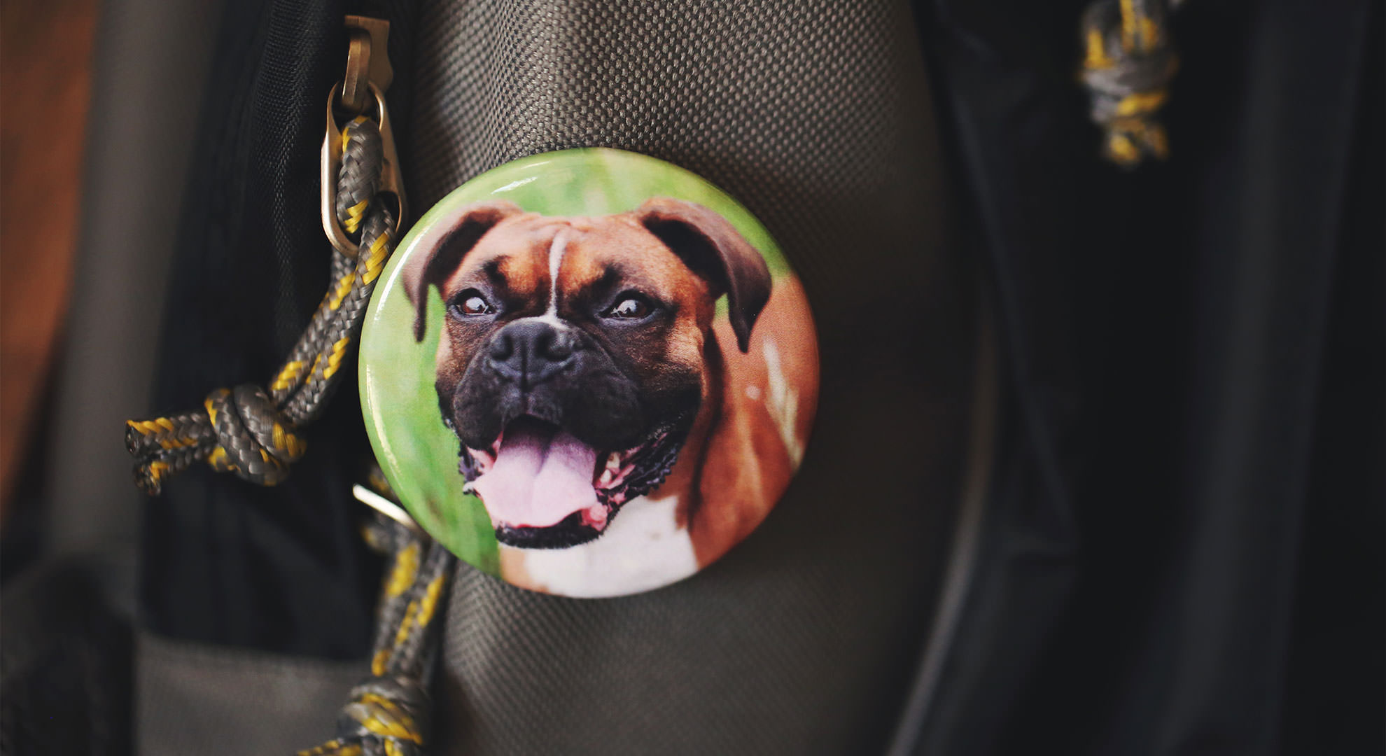 individuelle Buttons mit Hunde- und Katzenfotos