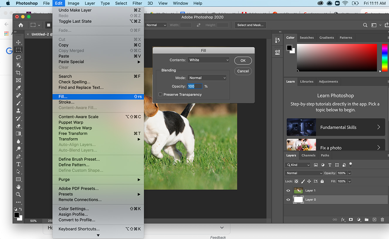 Editor de imagens online gratuito como o Photoshop - Studio da Sticker Mule, Blog