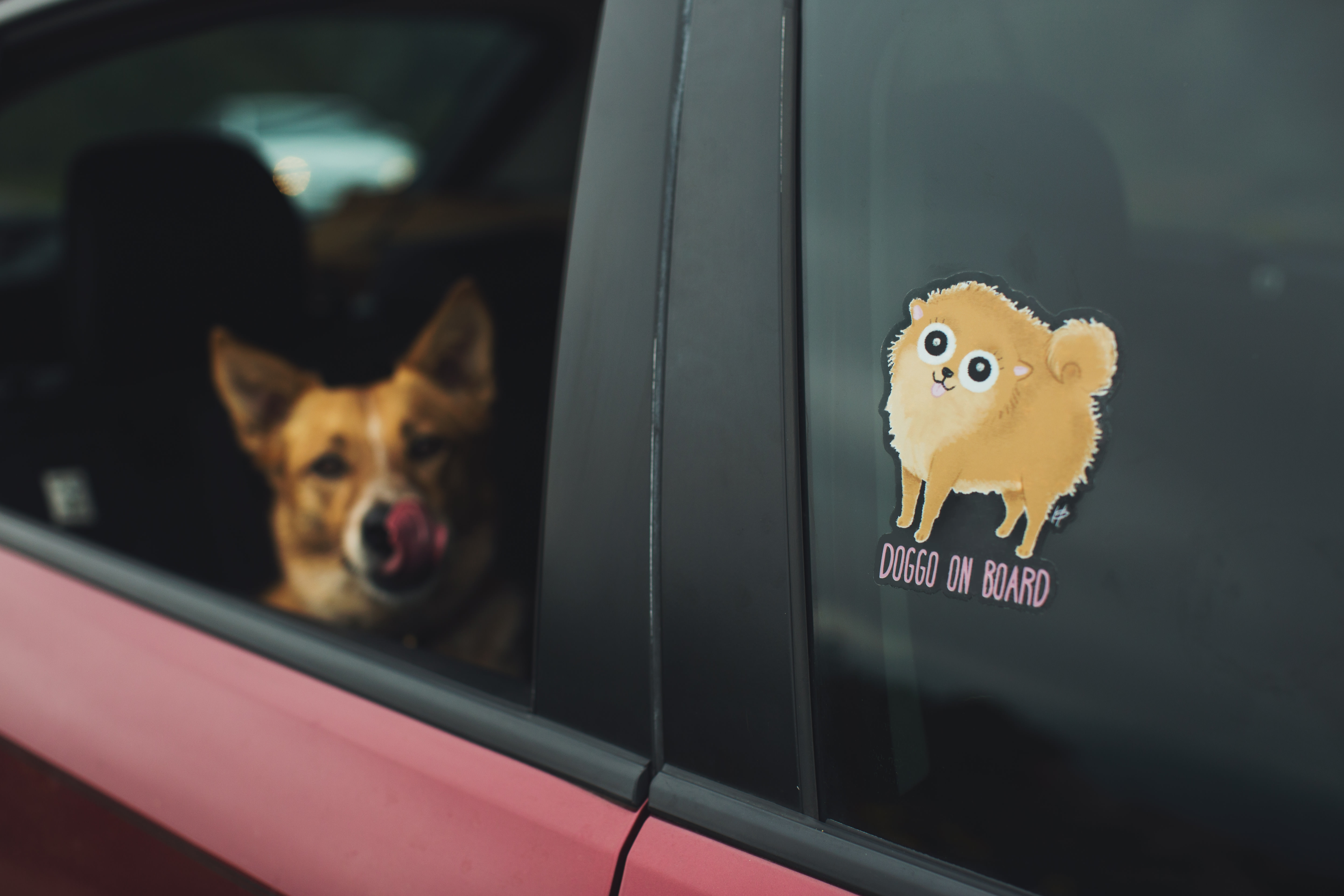 decalcomania personalizzata per auto con muso cane