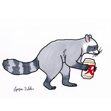 Voorbeeld van afbeelding