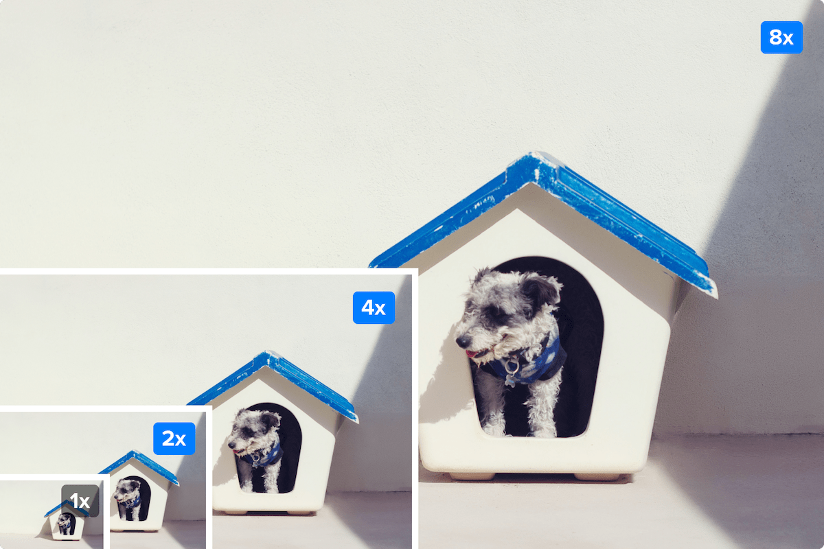 Verschiedene kostenlose KI-Upscale-Versionen eines Fotos eines Hundes in einer Hundehütte zum Vergleich