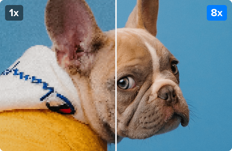 otimização de imagens do seu cão ou animal de estimação com o upscale